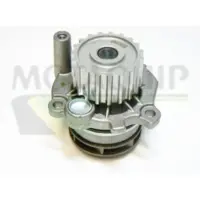 MOTAQUIP Wasserpumpe VWP775