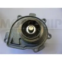 MOTAQUIP Wasserpumpe VWP876