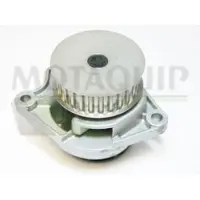 MOTAQUIP Wasserpumpe VWP751