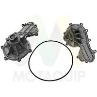 MOTAQUIP Wasserpumpe LVWP1098