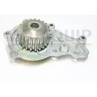 MOTAQUIP Wasserpumpe VWP781