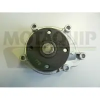 MOTAQUIP Wasserpumpe VWP853
