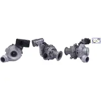TURBOS EUROPE Lader, Aufladung OE REMAN PA81997612