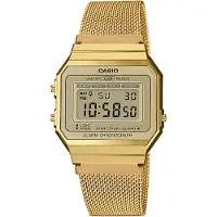Casio Vintage Iconic