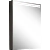 Schneider ARANGA TW Lichtspiegelschrank, eine Tür mit Anschlag rechts, 495x120x700mm, Lichtbänder oben, 160.452.02.44