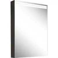 Schneider ARANGA TW Lichtspiegelschrank, eine Tür mit Anschlag links, 495x120x700mm, Lichtbänder oben, 160.451.02.44