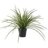 You do it Grass