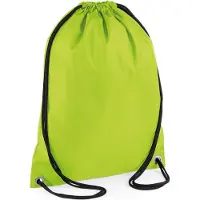 Bagbase Budget
