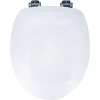 RIDDER WC-Sitz Glossy Art mit Soft-Close weiß 02121101