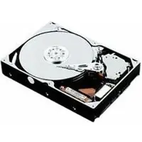 IBM Festplatte - 300 GB - Hot-Swap - 3.5" (8.9 cm)
