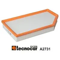TECNOCAR Luftfilter A2731