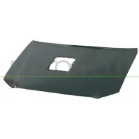 BLIC Motorhaube 6803-00-8172280P
