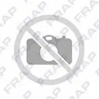 FRAP Lenker, Radaufhängung F5090