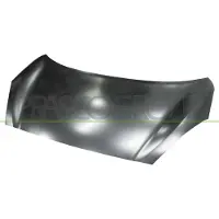 BLIC Motorhaube 6803-00-1610281P