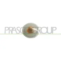 PRASCO Blinkleuchte FT1334139
