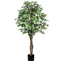 Pflanzen-Kölle Künstliche Birkenfeige 'Ficus benjamini', grünweiß, Höhe ca. 150 cm