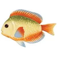 &k amsterdam &klevering - Fish Servierplatte, Rainbow