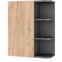Vicco Hängeschrank Fynn Anthrazit/Goldkraft Eiche 47.2 x 59.2 cm, Model 54353