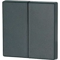 Eaton Power Quality Eaton 126049 Wippe, 2-fach, anthrazit CWIZ-02/04 - 10 Stück