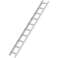 MUNK GmbH MUNK Aluminium Dachleiter 10 Sprossen Aluminium