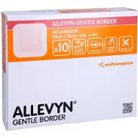Allevyn Gentle Border 10x10 cm Schaumverb. 10 St Verband