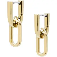 Fossil Heritage Stainless Steel Earrings JF04780710