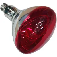 Philips Infrarot-Lp. 230V-250W 1Ct/10 (IR 250 RH R125) 1 St