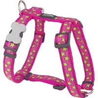 Red Dingo Stars Lime On Hot Hundegeschirr