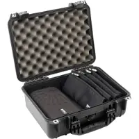 Dpa d:vote Core Kit 4099-DC-4R
