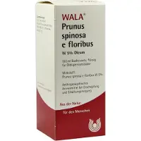 Wala Geneesmiddelen (eigen cnk) Prunus Spinosa E floribus W5% Oleum 100 ml
