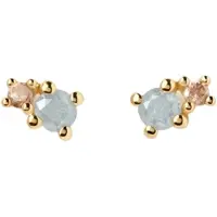 P D PAOLA Color 925 Sterling Silver Earrings with Gold Plating AR01-C68-U