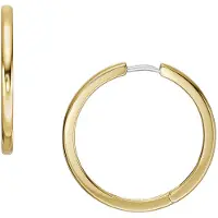 Fossil Goldfarbene Ohrringe JF04638710