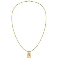 Tommy Hilfiger herren Kette Gold TJ2790565