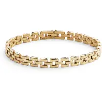 Daniel Wellington Link Jewelry Golden Bracelet DW00400988