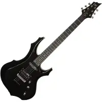 ESP Guitars ESP LTD F-10 schwarz