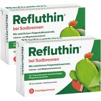 Dr. Willmar Schwabe GmbH & Co. KG Refluthin b.Sodbr. Fruchtgeschm. Doppelp 2X48 St