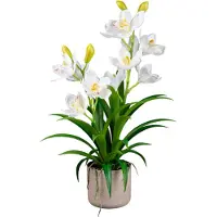Creativ Green Kunstorchidee "Orchidee Cymbidie" mit traumhaft schönen Blüten