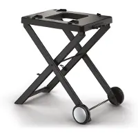 Ninja XSKGRLLSTDEUK, Karre, Schwarz, Woodfire, , 2 Rad/Räder, Vereinigtes Königreich