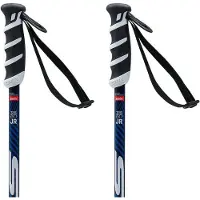 Swix Wc Pro Sl Junior Stöcke