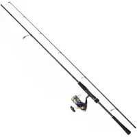 Daiwa Crest Tsuki Jb 4 X Ctsb802hmhfs+ct20lt4000cjbx4dg Spinn-kombo Silber 2.13 m / 10-35 g Silber 2.13 m