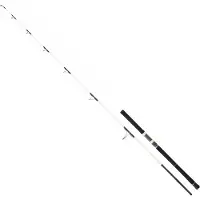 Daiwa Saltist Off Shore Spinnrute Weiß 2.29 m / 50-130 g Weiß 2.29 m