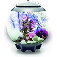 Oase Decor Set 30L Pink Ocean (48444)
