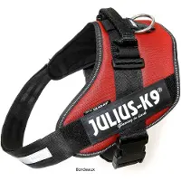 JULIUS K-9 Idc Power Hundegeschirr