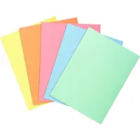 Exacompta Sammelmappen - Aktendeckel
