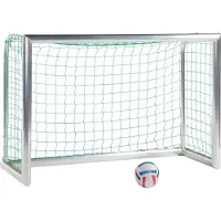 Sport-Thieme Mini-Trainingstor Professional