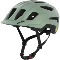 Alpina - Paranus Mips - Radhelm Gr 55-59 cm grün