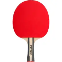 Sport-Thieme Tischtennisschläger Advanced
