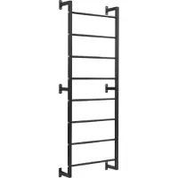Sport-Thieme Sprossenwand "Metall"