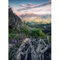 Overig Vliestapete "Digitaldruck Vlies - Flowering Tales - Größe 200 x 280 cm" bedruckt glatt Wohnzimmer, Schlafzimmer