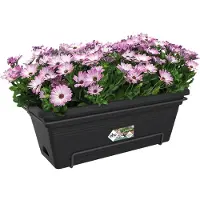 Elho Blumentopf Grün Grundlagen bar xl allin1 55cm livblck (zwart)